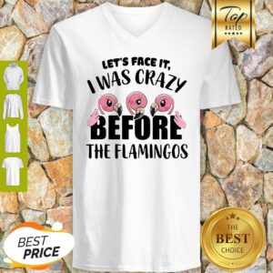 Let’s Face It I Was Crazy Before The Flamingos V-neck