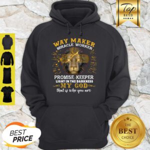 Lion Way Maker Miracle Worker Promise Keeper Light In The Darkness My God Hoodie