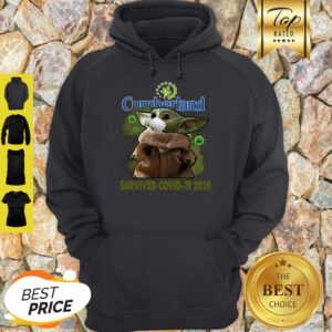 Pretty Baby Yoda Cumberland Farms Survived Covid-19 2020 Hoodie
