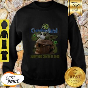 Pretty Baby Yoda Cumberland Farms Survived Covid-19 2020 Sweatshirt
