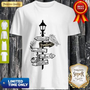 Fairy Owl Narnia Poudlard Pays Imaginaire La Gomme Pay Des Merveilles Shirt