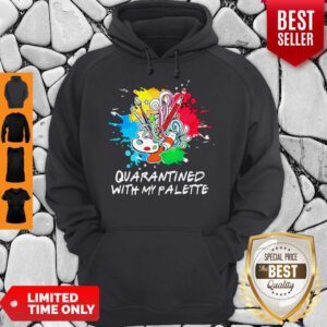 Funny Quarantined With My Palette Hoodie