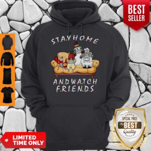 Top Pets Stay Home And Watch Friends Cartoon Covid-19 Hoodie