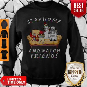 Top Pets Stay Home And Watch Friends Cartoon Covid-19 Sweatshirt