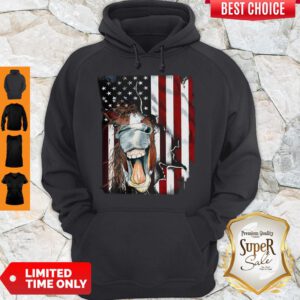Awesome Horse Face Flag Hoodie