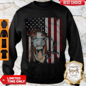 Awesome Horse Face Flag Sweatshirt
