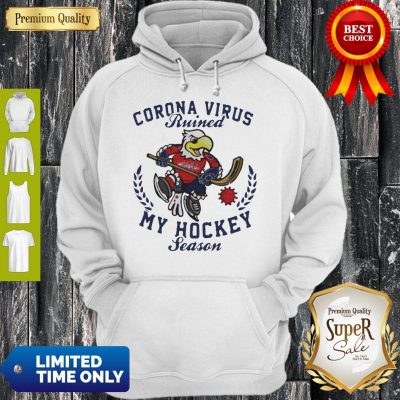 Funny Corona Virus Ruined My Hockey Season Washington Capitals Hoodie
