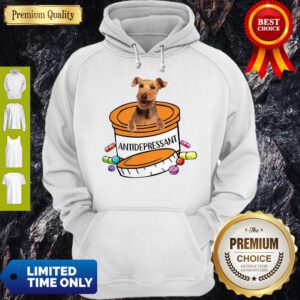 Funny Welsh Terrier Antidepressant Hoodie
