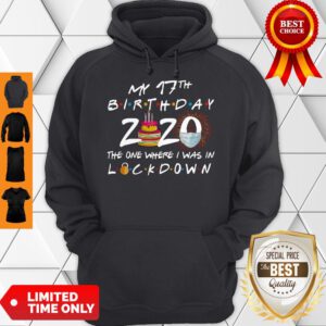 Nice My 17th Birthday 2020 The One Where I Was In Lockdown Hoodie