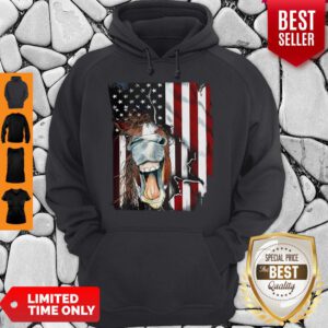 Nice American Horse Face Flag Hoodie