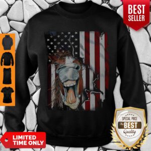 Nice American Horse Face Flag Sweatshirt