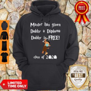 Nice Master Has Given Dobby A Diploma Dobby Is Free Class Of 2020 Hoodie