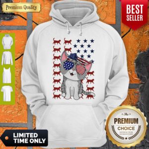 Premium American Cats Happy Independence Flag Hoodie
