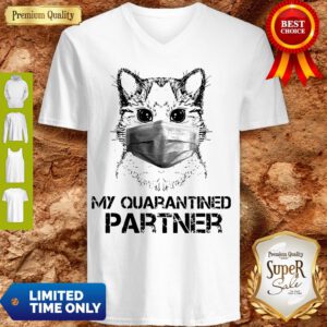 Pretty Raccoon Face Mask My Quarantined Partner V-neck