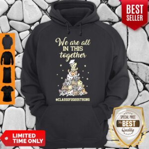 Pretty We Are All In This Together #class Of 2020 Strong Cat Hoodie