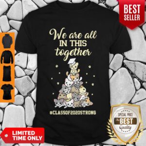 Pretty We Are All In This Together #class Of 2020 Strong Cat Shirt