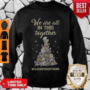 Pretty We Are All In This Together #class Of 2020 Strong Cat Sweatshirt