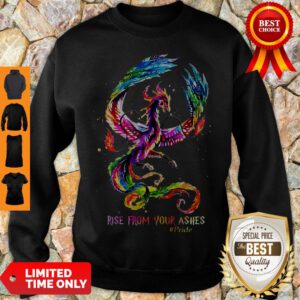 Nice Dragon Rise From Your Ashes Sweatshirt