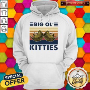 Cute Cats Big Ol’ Kitties Vintage Hoodie