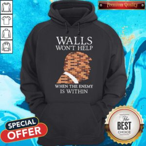 Donald Trump Walls Won’t Help When The Enemy Is Within Hoodie