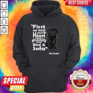 First We Steal Your Heart Then We Steal Your Bed And Sofa My Poodle Hoodie