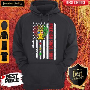 Free-ish Since 1864 Black Melanin American Flag Veteran Independence Day Hoodie