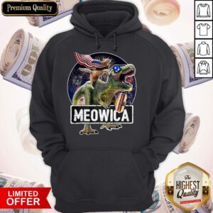 Funny Meowica Cat T-Rex Dinosaur 4th Of July Hoodie