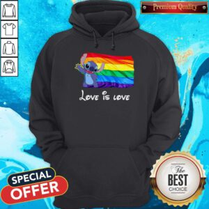 Funny Stitch LGBT Pride Love Is Love Hoodie