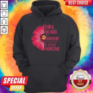 Gerbera Daisy Pink Dog Moms Are Sunshine Mixed With A Little Hurricane Hoodie