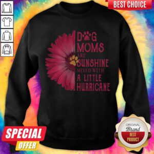 Gerbera Daisy Pink Dog Moms Are Sunshine Mixed With A Little Hurricane Sweatshirt