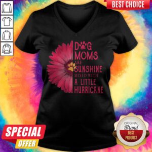 Gerbera Daisy Pink Dog Moms Are Sunshine Mixed With A Little Hurricane V-neck
