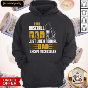 Nice I'm A Baseball Dad Just Like A Normal Dad Except Much Coller Hoodie