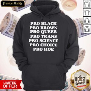 Nice Pro Black Pro Brown Pro Queer Pro Trans Hoodie