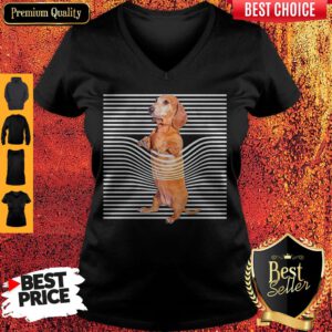 Official Dachshund Stripes V-neck