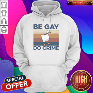 Premium Duck Be Gay Do Crime Vintage Hoodie