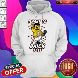Pretty Freddie Mercury I Want To Brick Free LEGO Hoodie