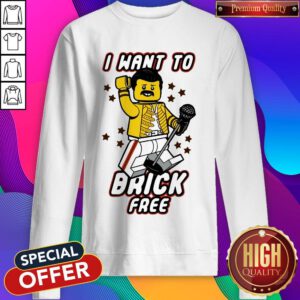 Pretty Freddie Mercury I Want To Brick Free LEGO Sweatshirt