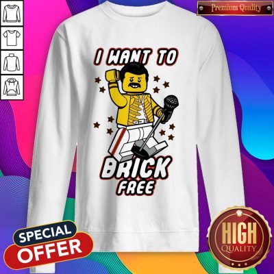 Pretty Freddie Mercury I Want To Brick Free LEGO Sweatshirt