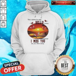 You Came To Say Hello Today I Whispered I Miss You As You Flew Away Eagle Hoodie