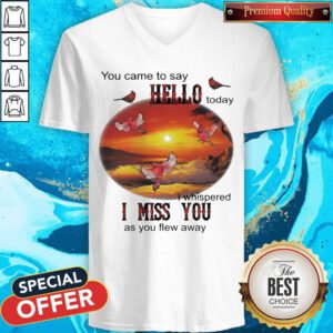 You Came To Say Hello Today I Whispered I Miss You As You Flew Away Eagle V-neck