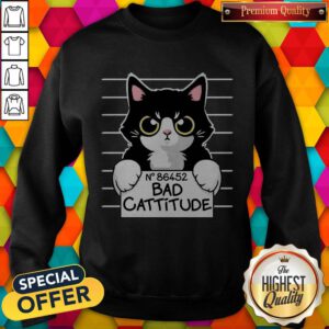 Awesome Bad Cattitude Sweatshirt