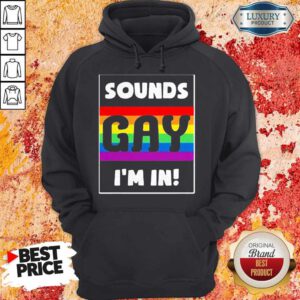 Awesome Sounds Gay I'm In Hoodie