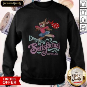 Awesome Splash Mountain Everything Is Satisfactual Sweatshirt