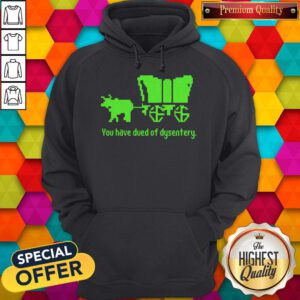 Awesome You Have Died Of Dysentery Hoodie