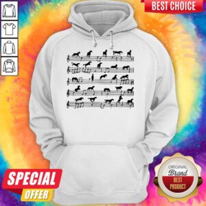 Funny Horse Notes On Sheet Music Hoodie