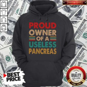 Funny Proud Descendant Confederate Soldier Hoodie