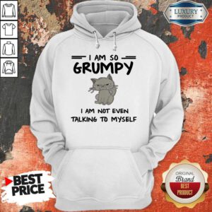 Nice I Am So Grumpy I Am Not Even Talking To Myself Hoodie