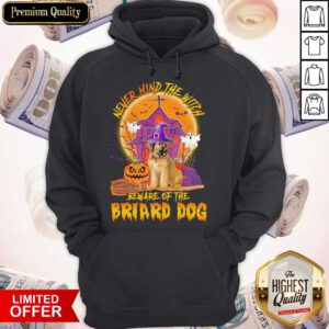 Premium Never Mind The Witch Beware Of The Briard Dog Halloween Moon Hoodie