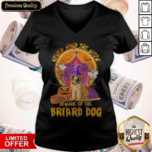 Premium Never Mind The Witch Beware Of The Briard Dog Halloween Moon V-neck