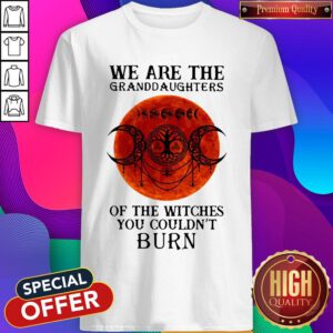 Top We Are The Granddaughters Of The Witches You Couldn’t Burn Shirt